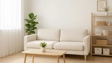 حفظ سلامت خانواده با دفع حشرات خانگی